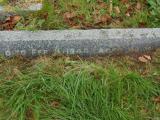 image of grave number 562927